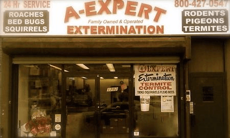 A-Expert Extermination