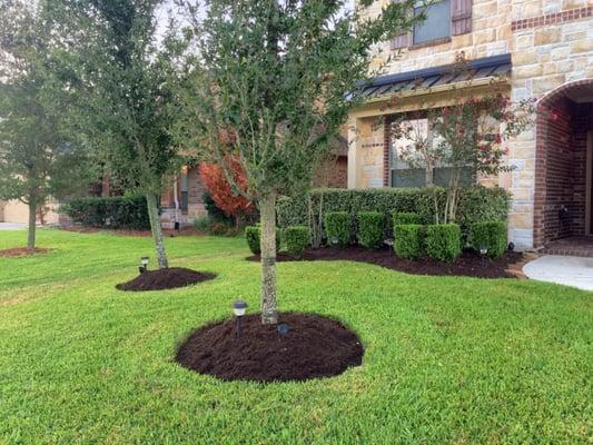 Final result after cutting the lawn, trimming the shrubs, removing a lot of weeds, and putting in landscape fabric and mulch.