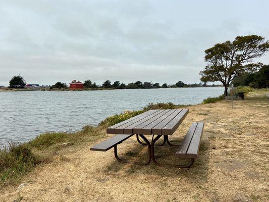 Picnic tables throughout the park