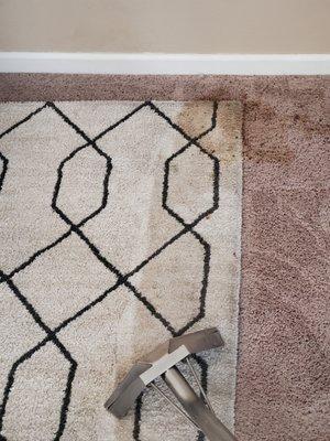 Area Rug Cleaning