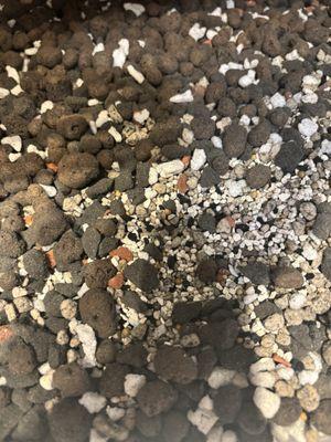 chunky pon mix--pumice, lava rock, and zeolite (with added leca, perlite, and slow-release fertilizer)