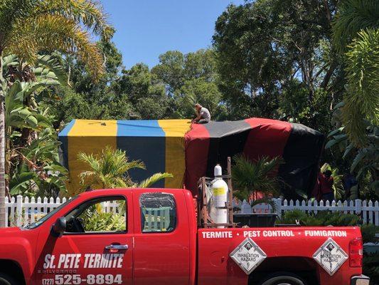 Termite Tenting Fumigation