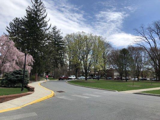 Main circle entrance of ESU in the Spring.