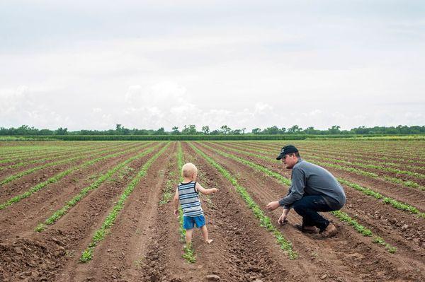 Gundermann Acres in Glen Flora, TX. One of many local Texas farms providing Farmhouse Delivery members with freshly harvested produce.