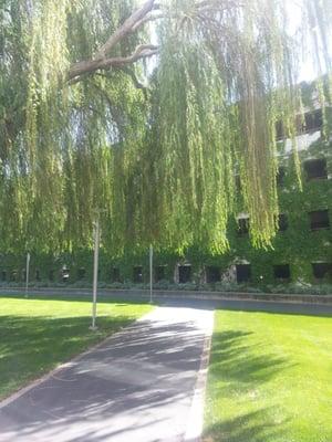 Pretty parking garage exterior