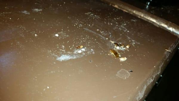 It isnt crumbs but tons of Roach crap.  Under our tv !!!  In our room!!! Tons of eggs