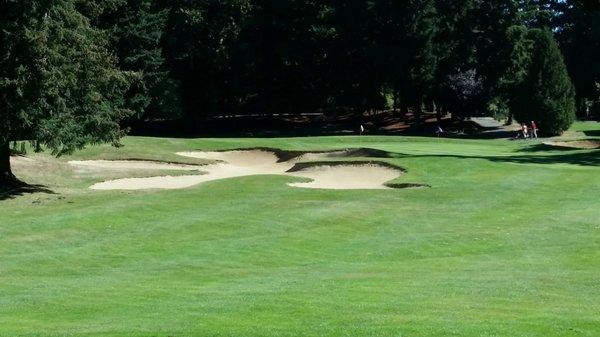 Protected green at Lake Tapps Island Golf Course