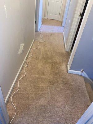 Stains Be Gone Carpet Cleaning