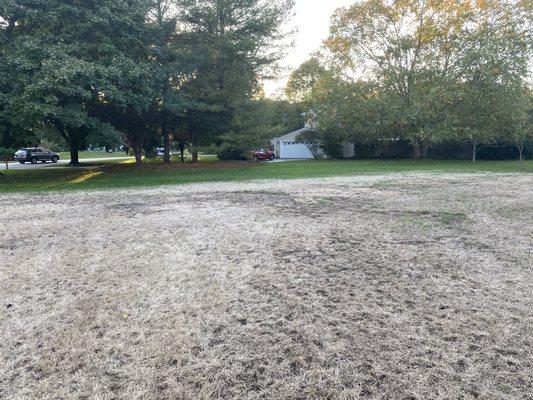 Notice how the dead grass ends at the property line