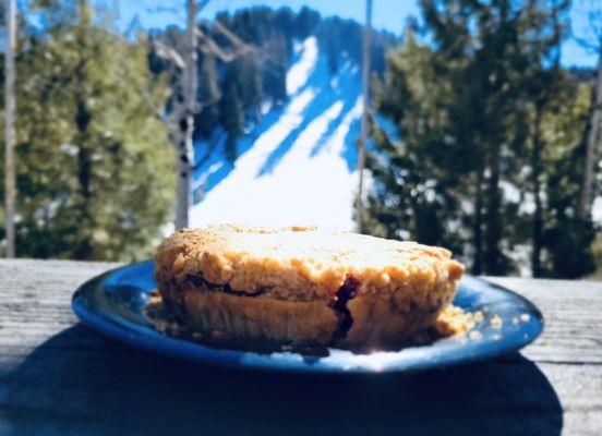 Mountain Berry crumble pie