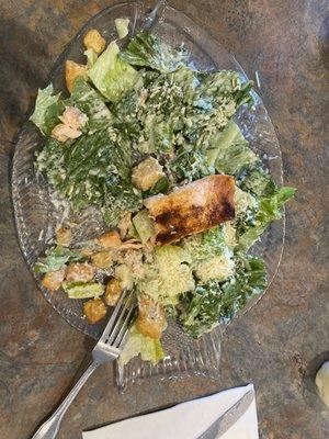 Fish Plate Salmon Caesar Salad is served on - Cute Touch