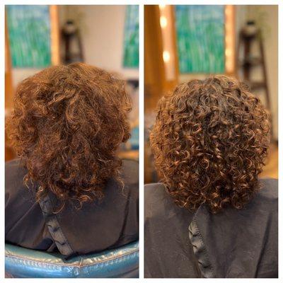 Curly cut by Priscilla Denise