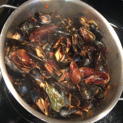 mussels, wild