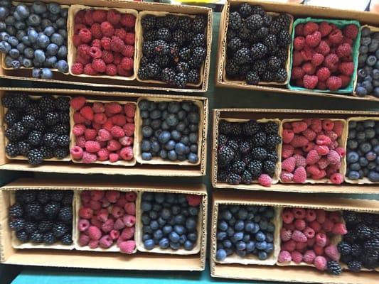 Berries galore