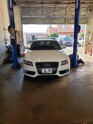 Audi CEL and Oil service