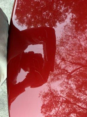 Got out and instantly noticed some bright and brand new scratches on the trunk of my bright red camaro...