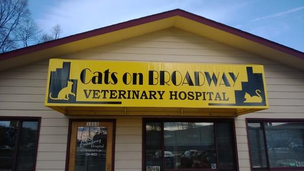 Cats On Broadway Hospital