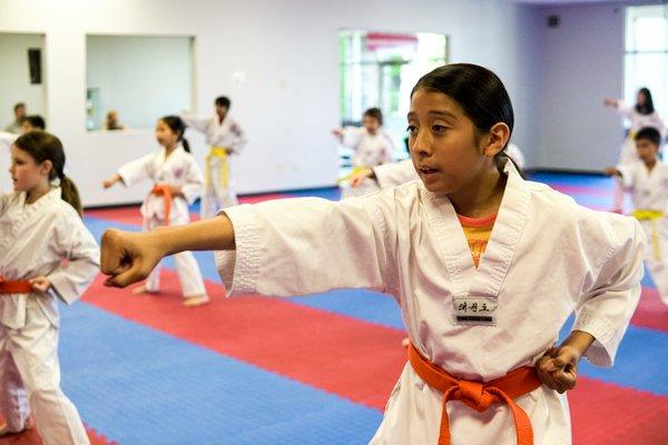 US World Class Taekwondo Tri-Cities