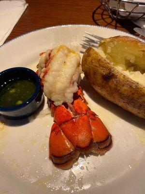 Size of lobster tail