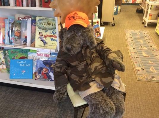 Beatrice, the book store bear.