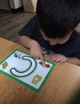 Learning Letter Recognition