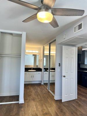 Large mirror closet doors