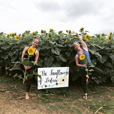 Yoga in the Sunflower event