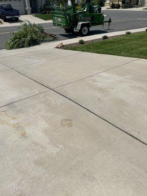 These guys work hard.. seven trees and it's hot today..