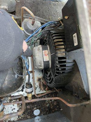 Walk in cooler repair