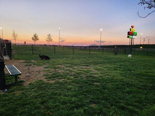 Dog Park at sunset