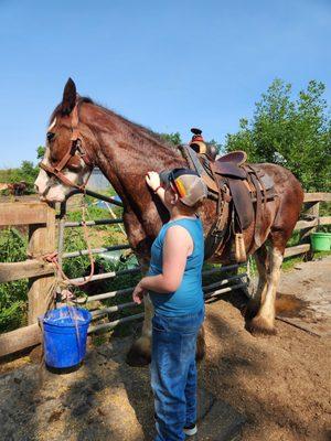 Red Ridge Ranch Riding Stable