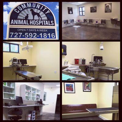 A sneak peek of the hospital, including the waiting room, surgery, dental, and exam rooms!