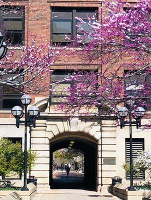 Through the tunnel to the "Diag" - University of Michigan Central Campus.