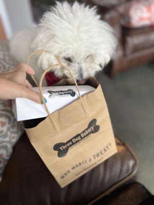 Three Dog Bakery