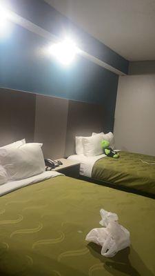 Room 300 . Not a fan of the green beds. Lol. But they were super comfy.