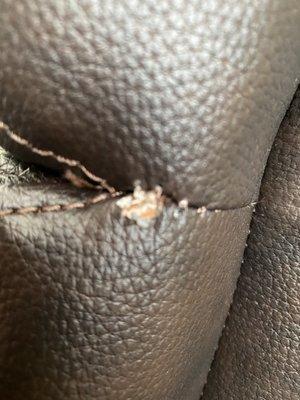 Seams disintegrating. Leather substandard not "premium" or "highly durable" as advertised.