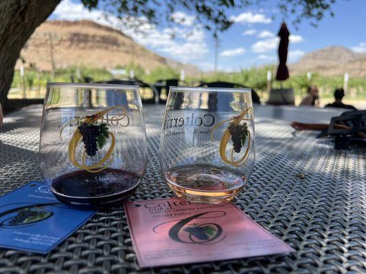 Two wines from our flight of five.