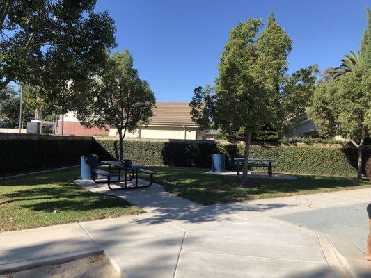 Nice shaded picnic benches