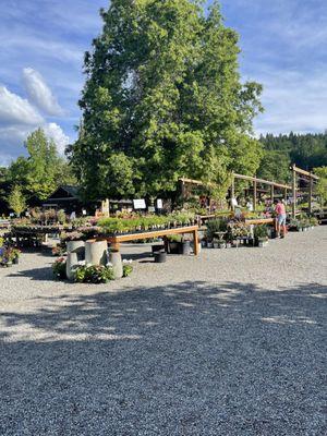 Gray Barn Nursery & Garden Center