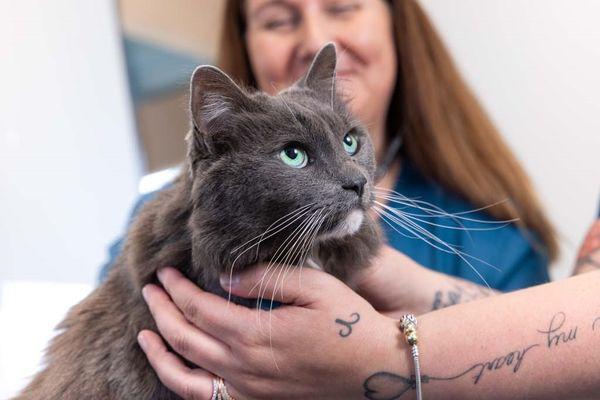 Campus Commons Pet Hospital