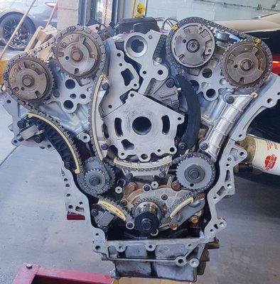 Chevy timing chain