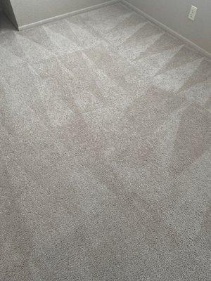 Fresh carpets and smells clean!