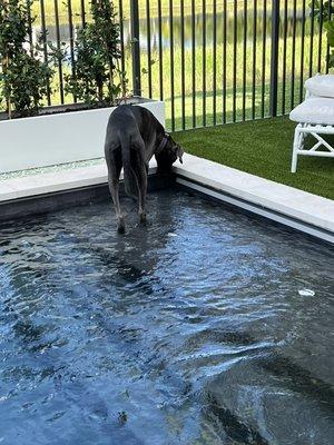 Ally loving water