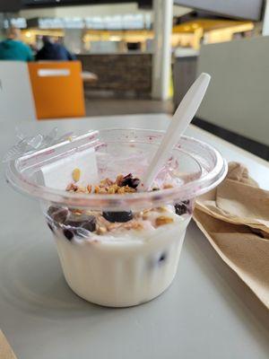 Blueberry (6 of them) yogurt $9.