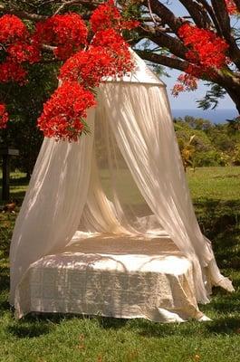 cotton mosquito net