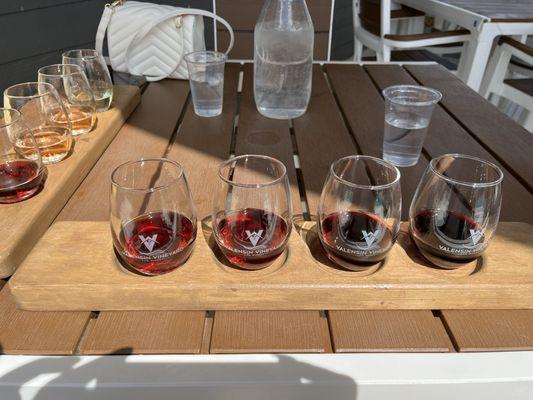 Red Wine Tasting