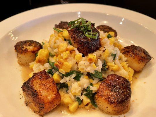 Blackened sea scallops and corn risotto a favorite