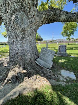 Anaheim Cemetery