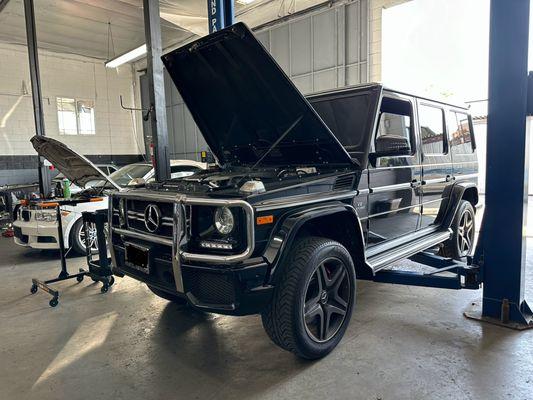 G63 Service