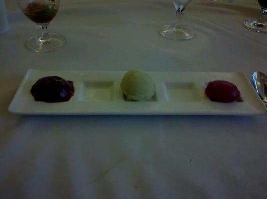 Sorbet was delicious!